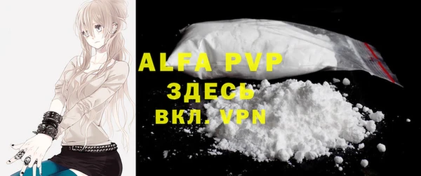 стафф Арсеньев