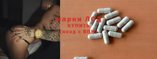 стафф Арсеньев