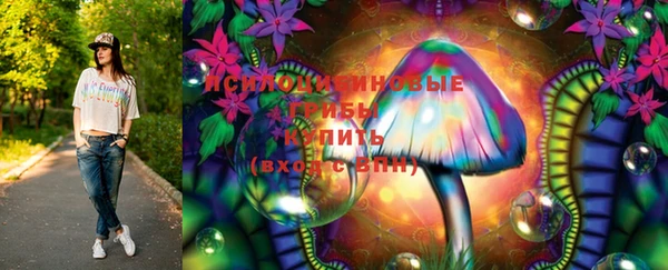стафф Армянск
