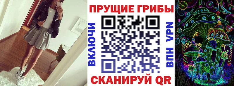Псилоцибиновые грибы Psilocybe что такое Кологрив